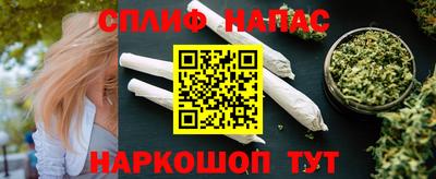 гашик Будённовск